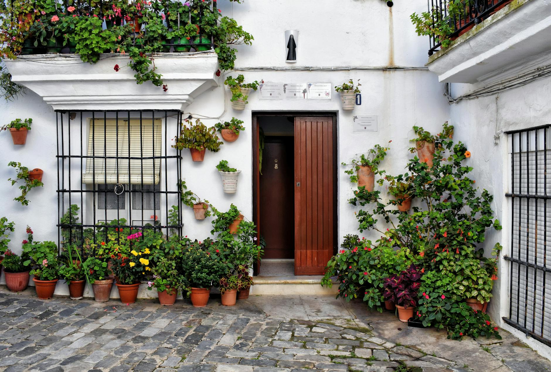 Beautiful Andalusian courtyard with vibrant potted plants and wooden door in Vejer de la Frontera, Spain.