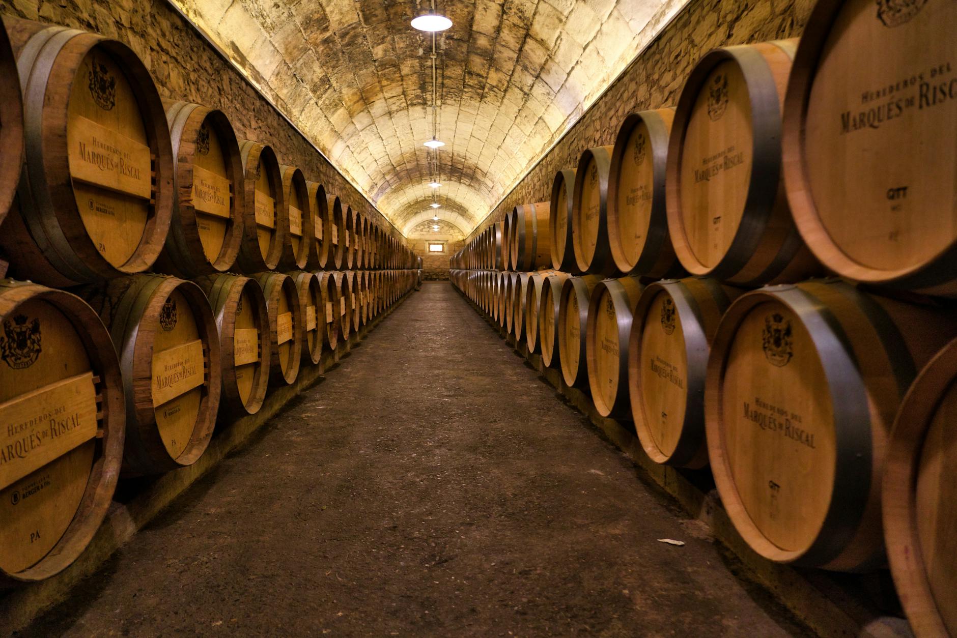 A picturesque wine cellar in Elciego, Spain, showcasing rows of wooden barrels under arching stone ceilings.