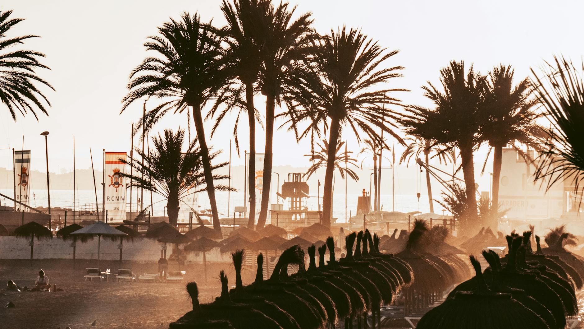 Palm trees silhouette at Marbella beach during golden hour, capturing a serene summer vibe.