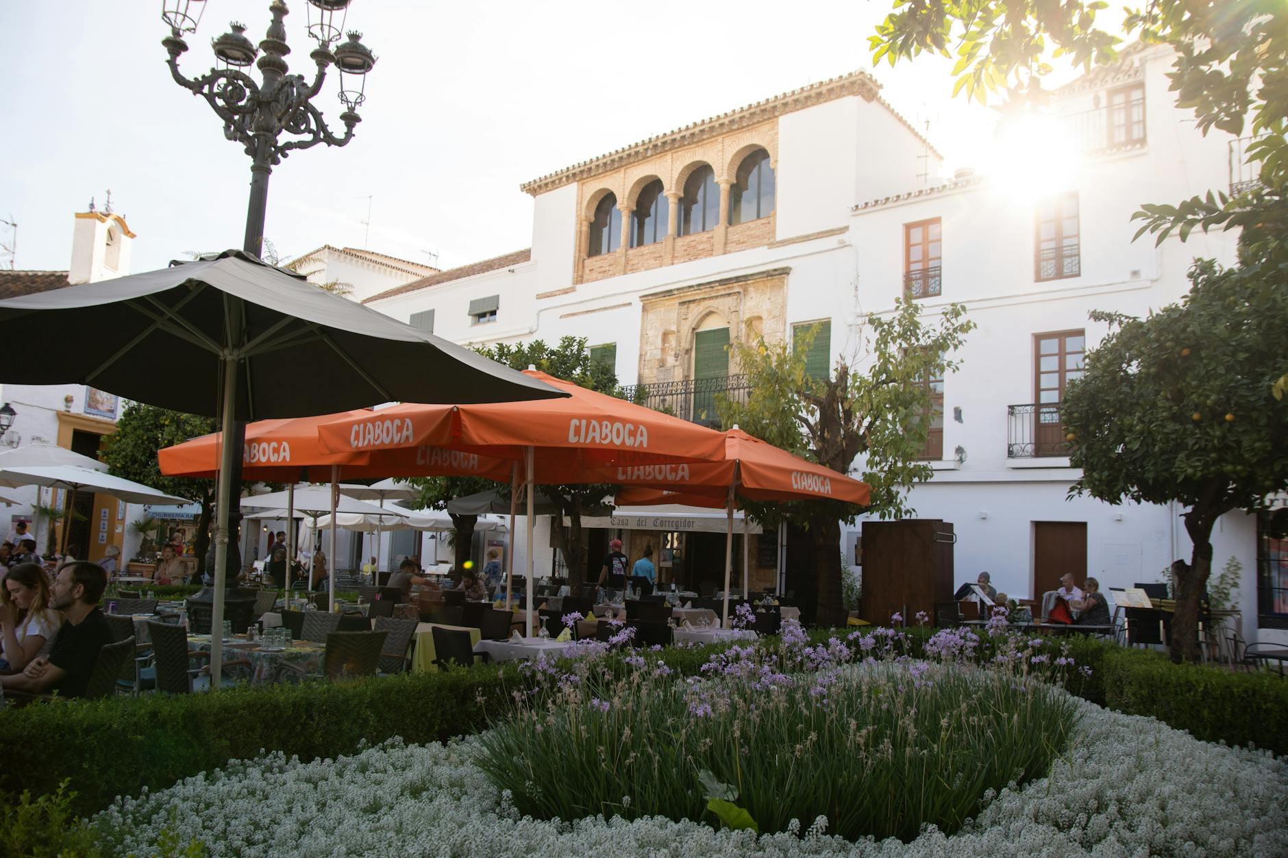 Casual outdoor dining experience at a café in Marbella's historic Plaza de los Naranjos.