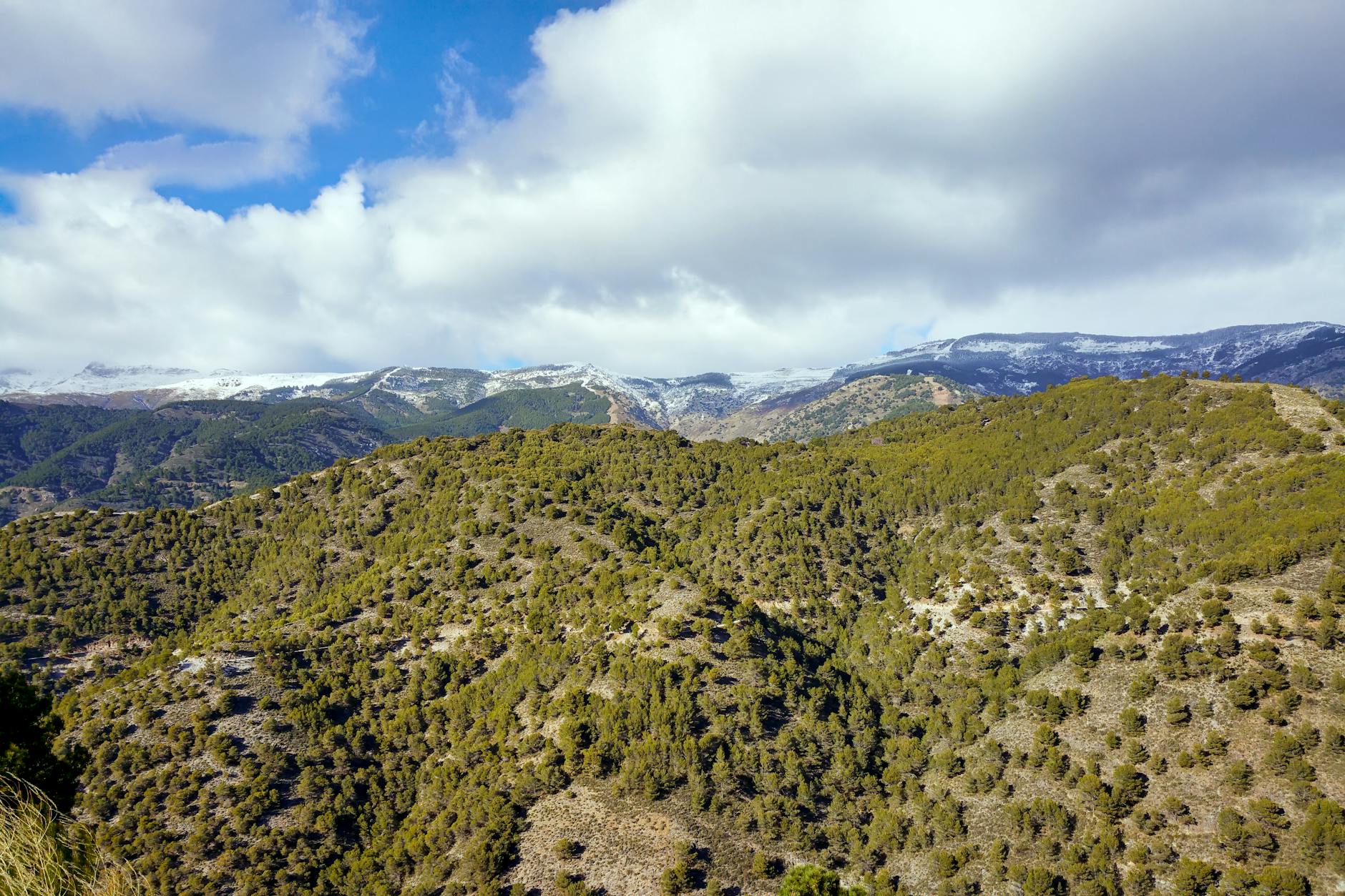 Expansive view of Spain's Sierra Nevada with lush forests and snowy peaks.
