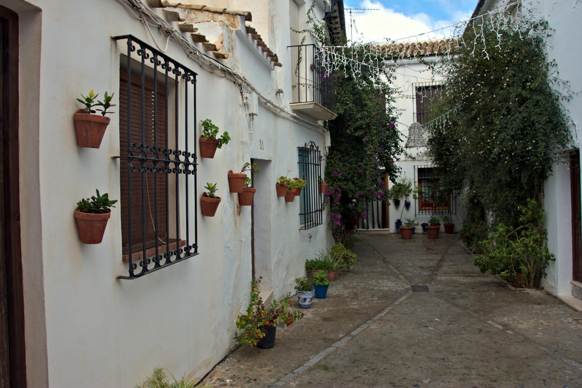 Picturesque street in Priego de Córdoba, Spain with potted plants and whitewashed buildings.