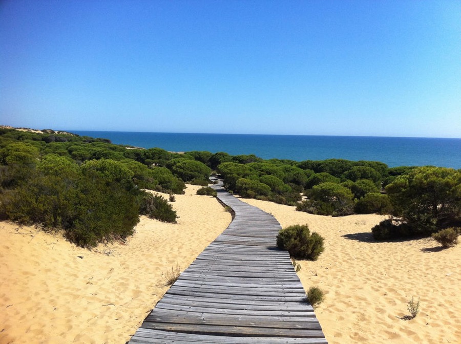 Itinerario Huelva, Cádiz y Sevilla: 5 días