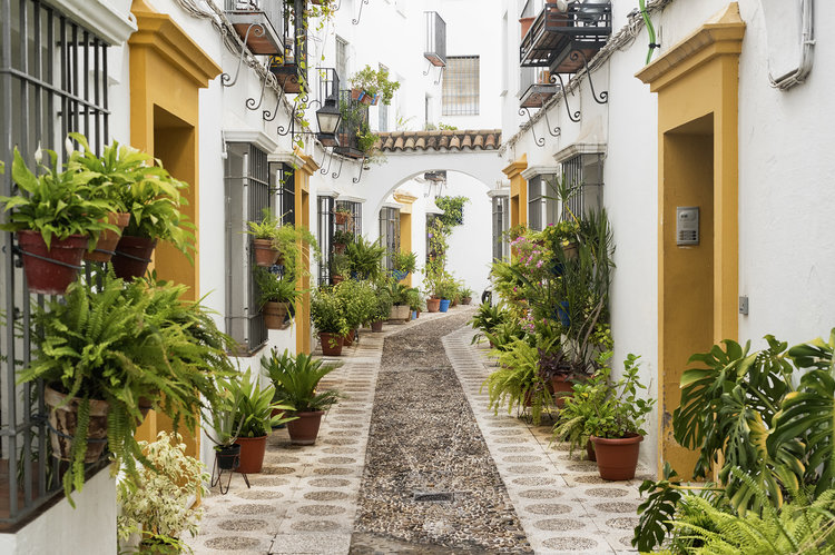 Vista de Patios de Córdoba, Andalucía