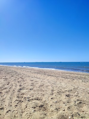 Paraje Natural Marismas del Odiel, Huelva