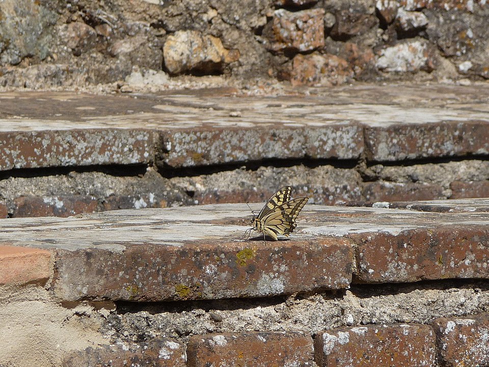 Cortegana-P1040810.JPG