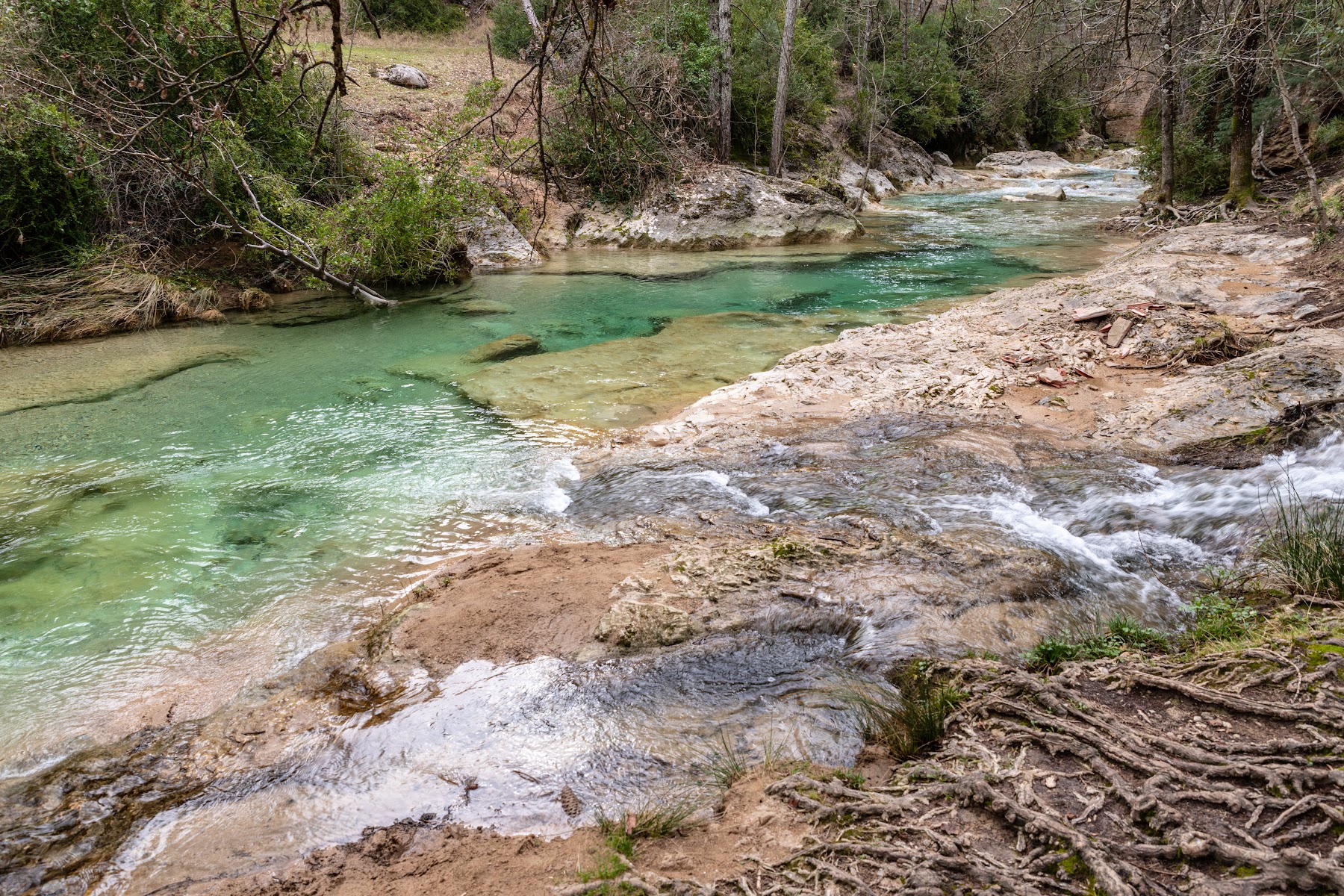 Área recreativa Puente de las Herrerías — Sierra de Cazorla | Cañones, río y silencio verde, Cazorla, Andalucía