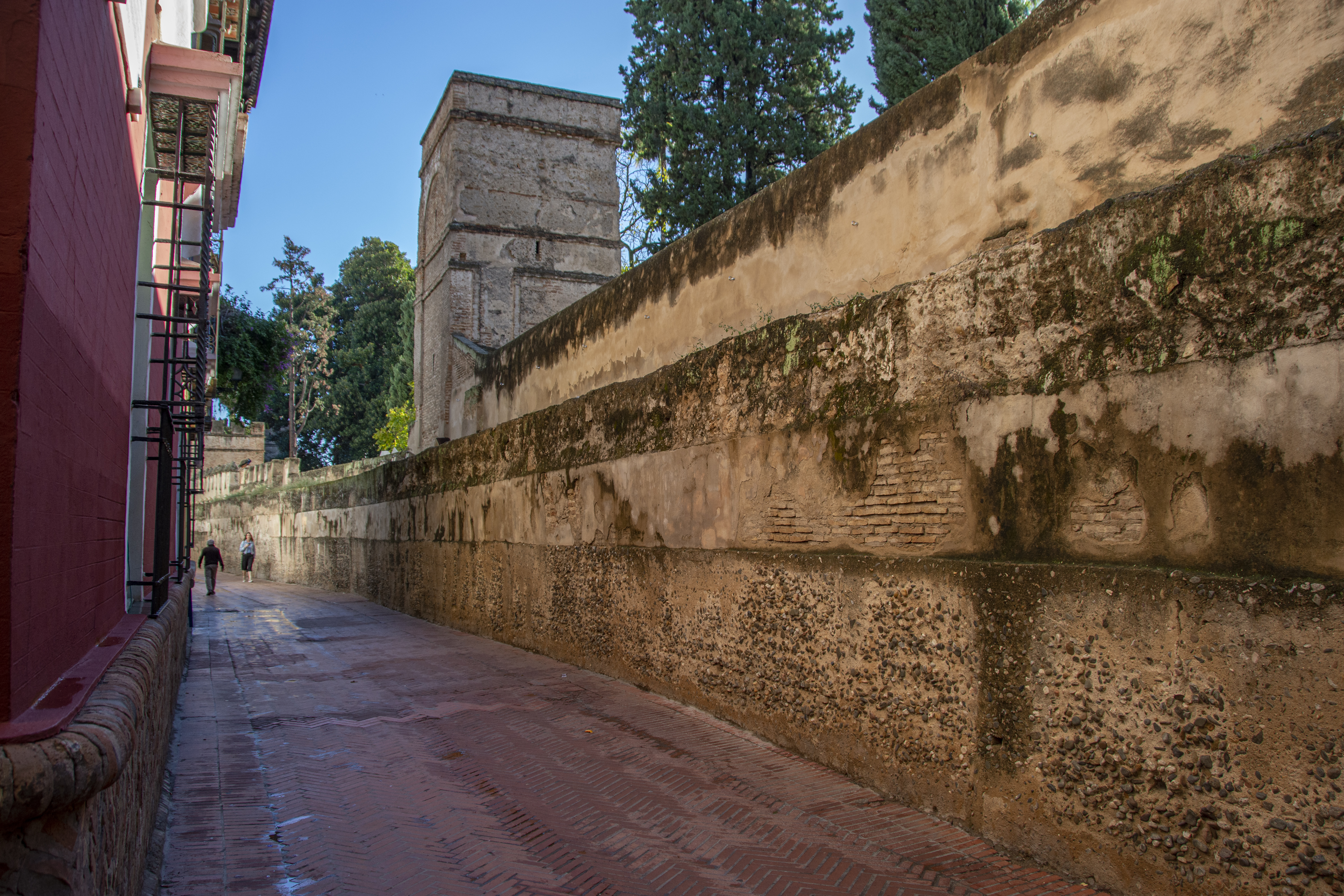 Santa Cruz (Sevilla). Santa Cruz es un barrio histórico de Sevilla (Andalucía, España) que se asienta en parte de la antigua judería de la ciudad. La judería ocupaba lo que hoy son los barrios de Santa Cruz, Santa María la Blanca y el de San Bartolomé. Según la…