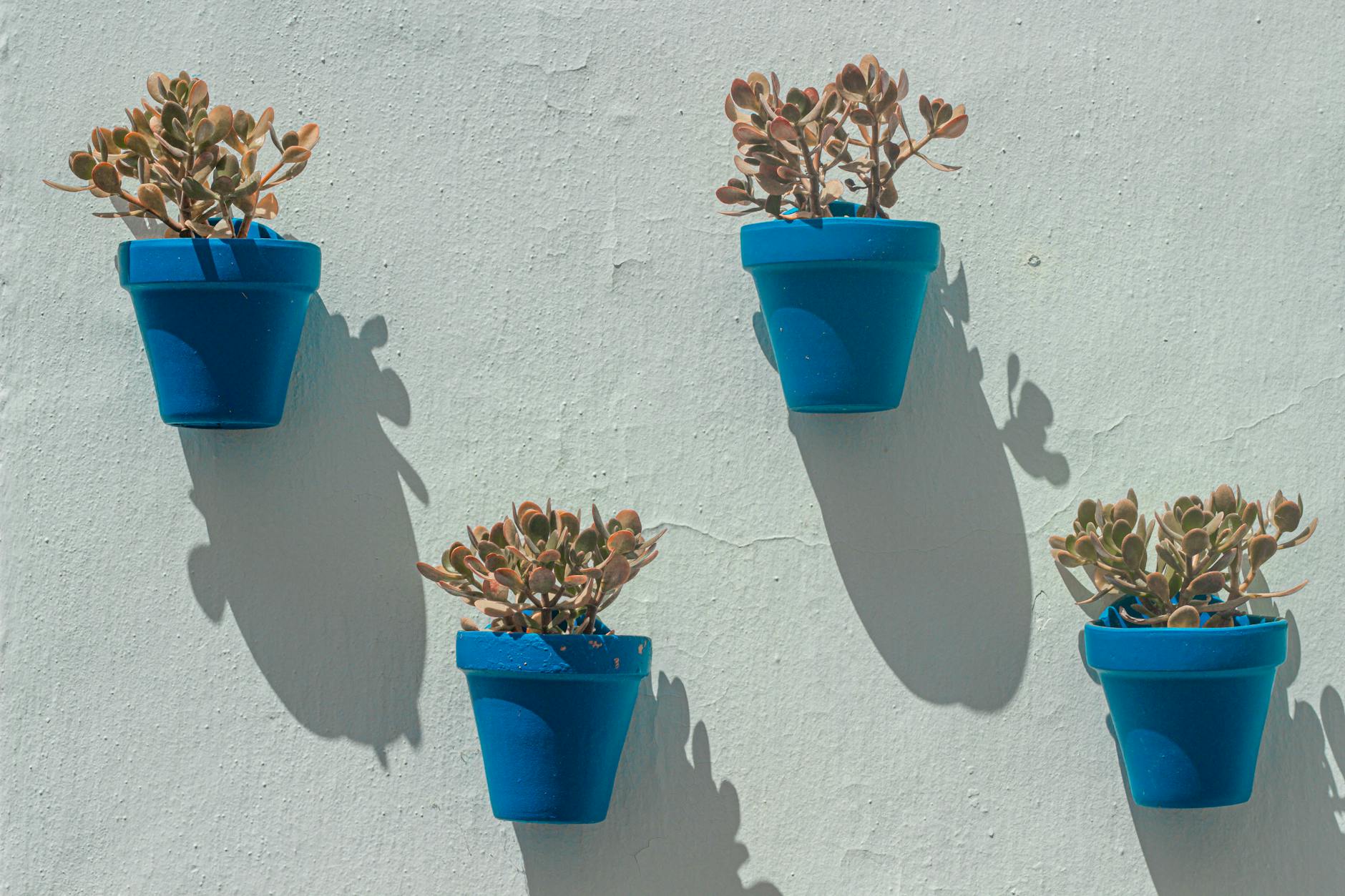 Artistic display of blue pots with plants against a white wall in Frigiliana, Andalucía.