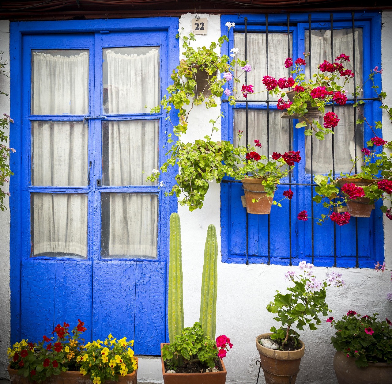 Patio cordobés con flores y macetas, Córdoba, Andalucía