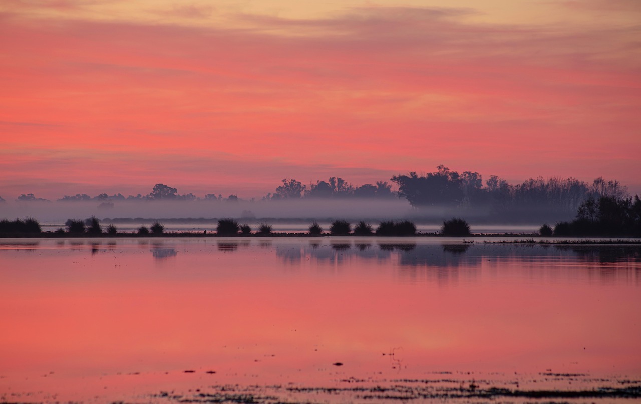 Atardecer en los humedales del Parque Nacional de Doñana, Andalucía