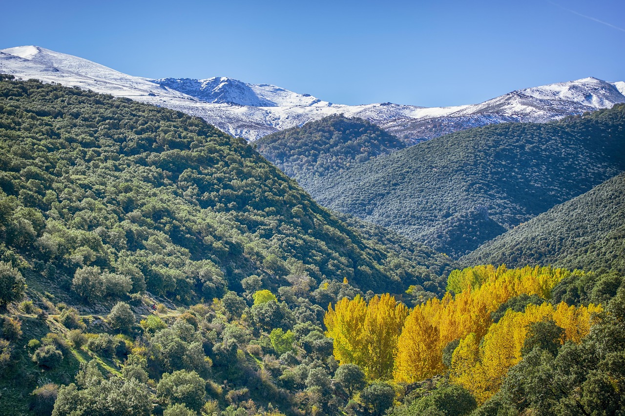 Imagen de apoyo de Itinerario Granada: 3 días