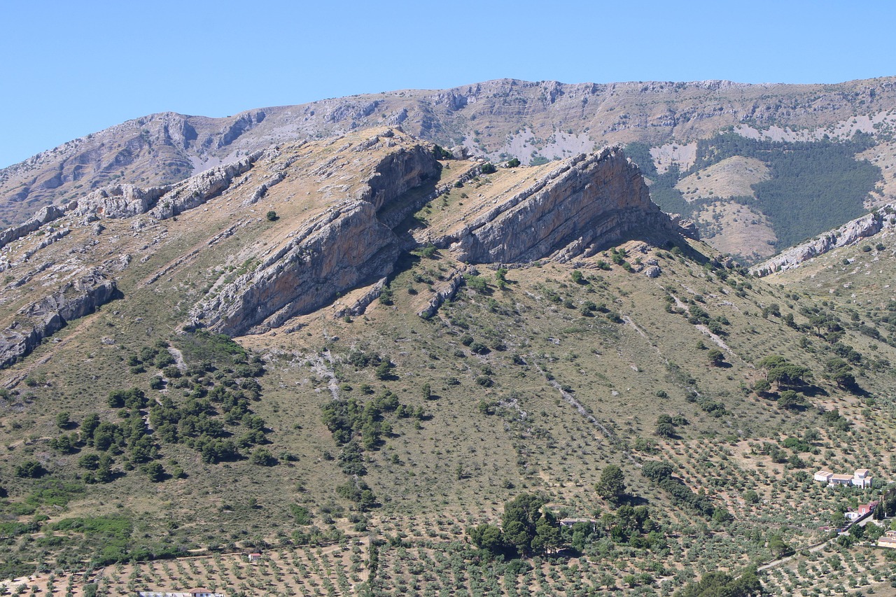 jaen, scenery, mountains, andalucia spain, nature, olives, trees, jaén, landscape, andalusia, olive grove