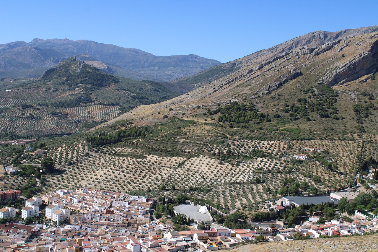 jaen, castle, landscape, city, andalusia, spain, jaén, photo, olives, europe, jaen, jaen, jaen, jaen, jaen, landscape, jaén, jaén, olives